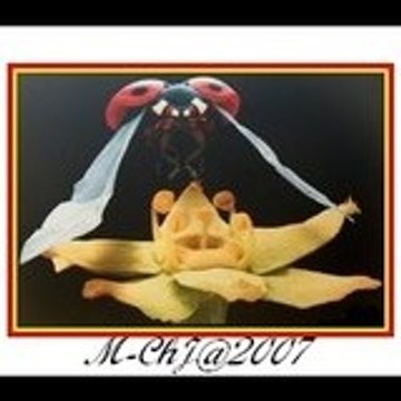 Marie-Christine Marie-Christine JACQUES