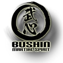 BushinMartialSpirit