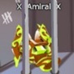 X_Amiral_X X_Amiral_X