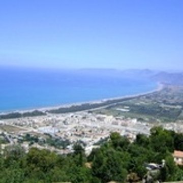 reda senoune