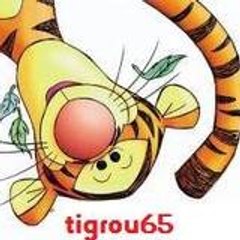 tigrou_test