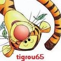 tigrou_test