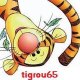 tigrou_test