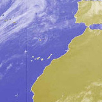 Batijero Periodístico.