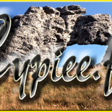 Jérôme Girardon CYPIEE