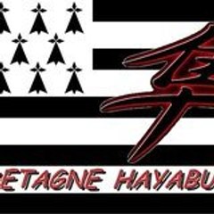 Breizhayab 29
