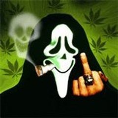 ali_g4ng5t4