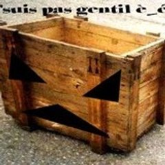 La Méchante Caisse