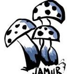 jamurvideo
