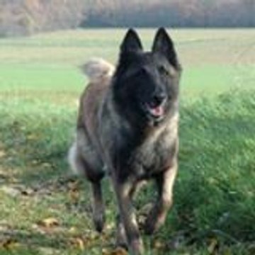 Christine LABROCHERIE