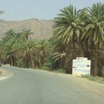 MOHAMED BOUACHRA