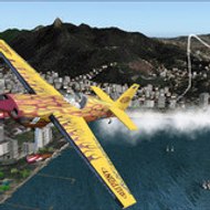 Dreadwings Aviation Inc.