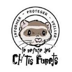 Refuge Des Chtis Furets
