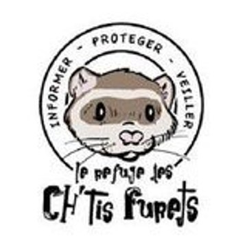 Refuge Des Chtis Furets