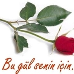 cancagzim