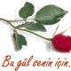 cancagzim