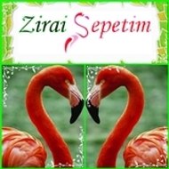 www.ZiraiDanismanlik.com
