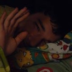 robert plout