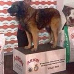 decanfont.atara.com decanfont.atara.com