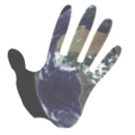 Forum Etudiants & Développement Durable MFQM