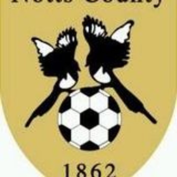 Dailymotion profile picture for @county
