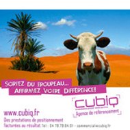 Cubiq Marketing