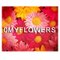 0Myflowers