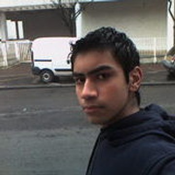 robin