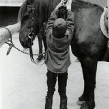 Horses-Solveig