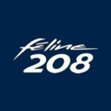 Féline 208