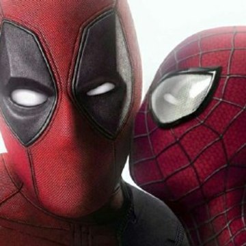Spider392