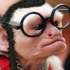 Le petit terrien