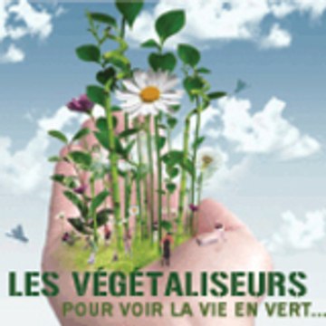 CONSCIENT NETWORKS