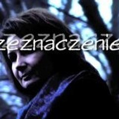 PRZEZNACZENIE serial crime/mystery
