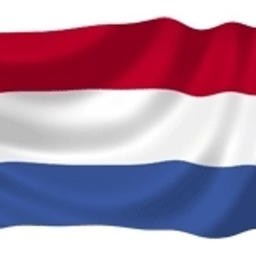 dutchguy
