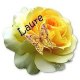 laure laure