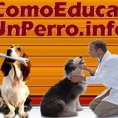 ComoEducarUnPerro.info