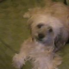 Ana Vinagre Exposito