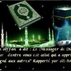 moustafa nassim