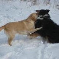 faustusnight faustusnight