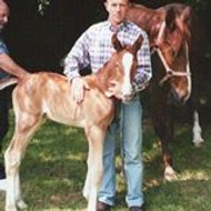 francois xavier belvisi