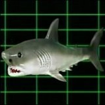 Jaws2 2011
