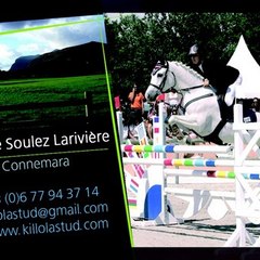 Killola Stud