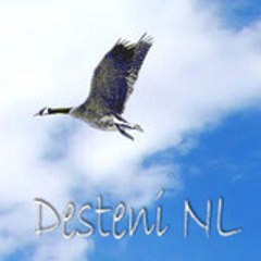 DesteniNL