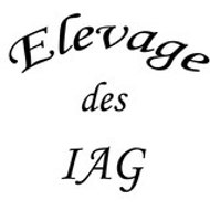 Elevage des IAG