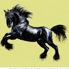 Jose Antonio Flores Nieto