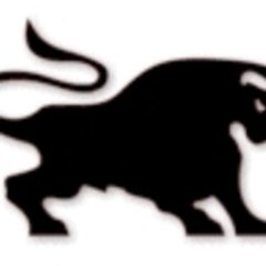 Momentum Options Trading