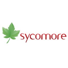 sycomore sycomore