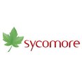 sycomore sycomore