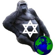 The 800 Pound Gorilla